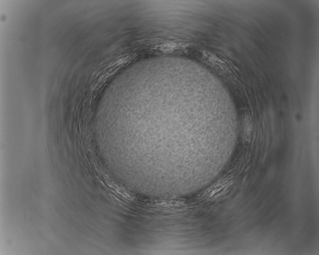 X0000057091105200509301543