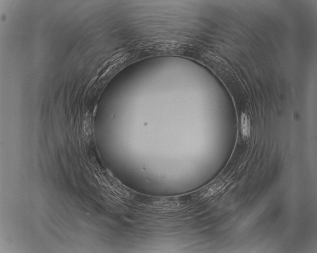 X0000057091107200509301544