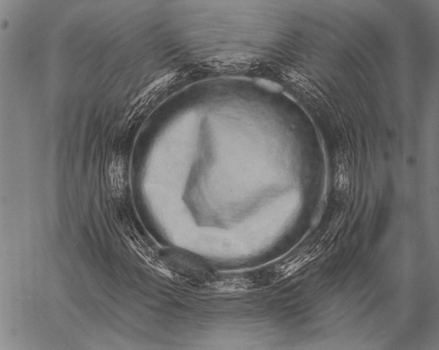 X0000057091108200509301544