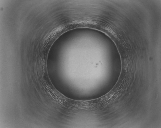 X0000057091111200509301544