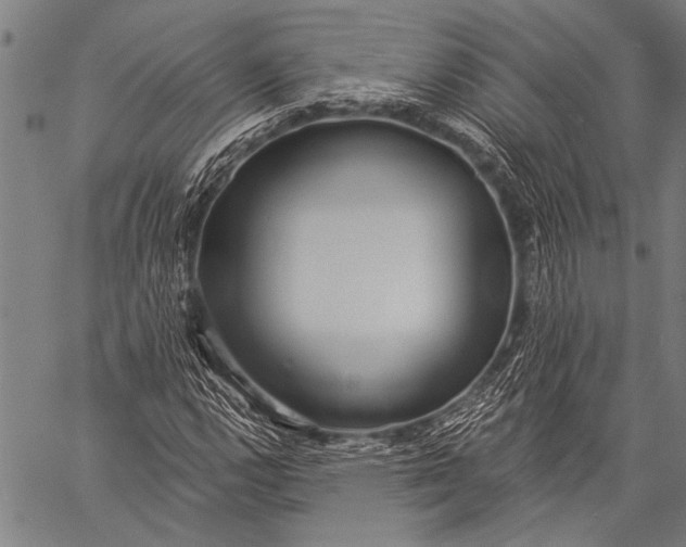 X0000057091112200509301544