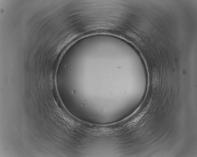 X0000057091113200509301544