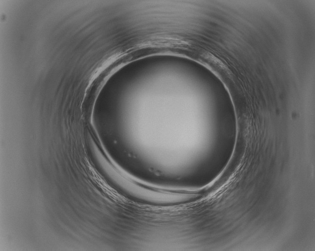 X0000057091114200509301544