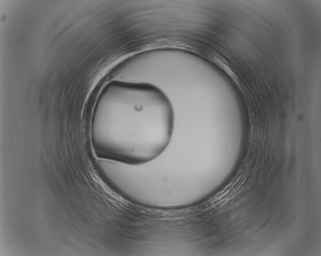 X0000057091116200509301544