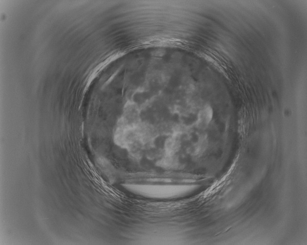 X0000057091117200509301544