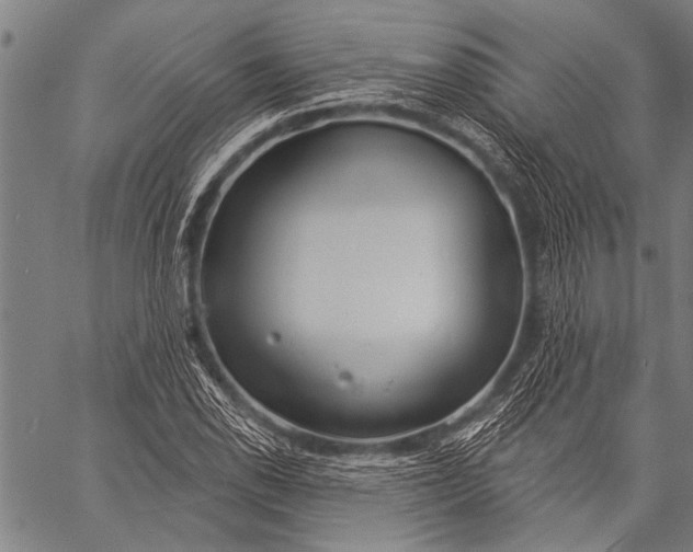 X0000057091118200509301544