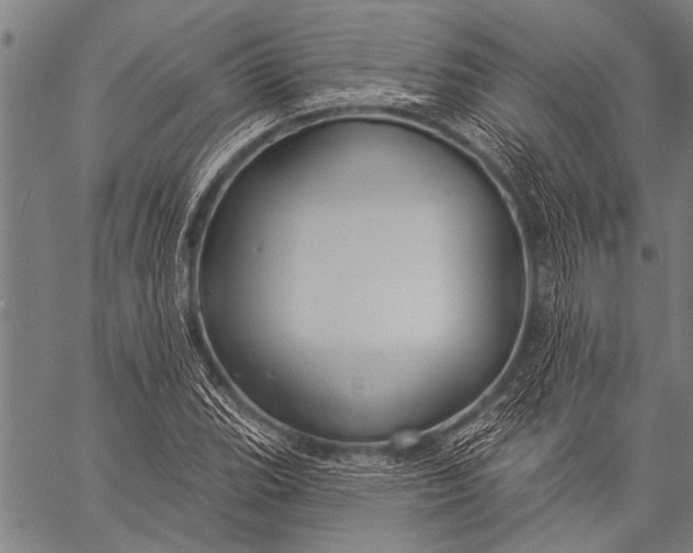 X0000057091119200509301544