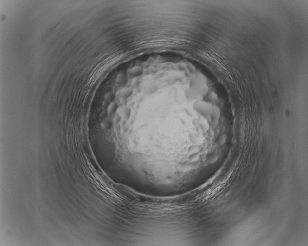 X0000057091121200509301544