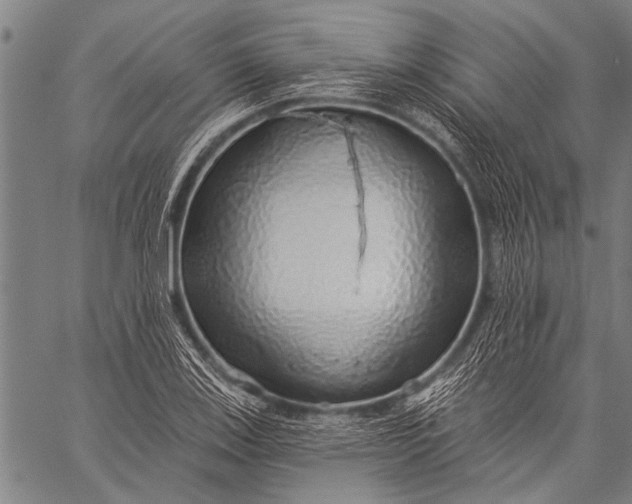 X0000057091123200509301544