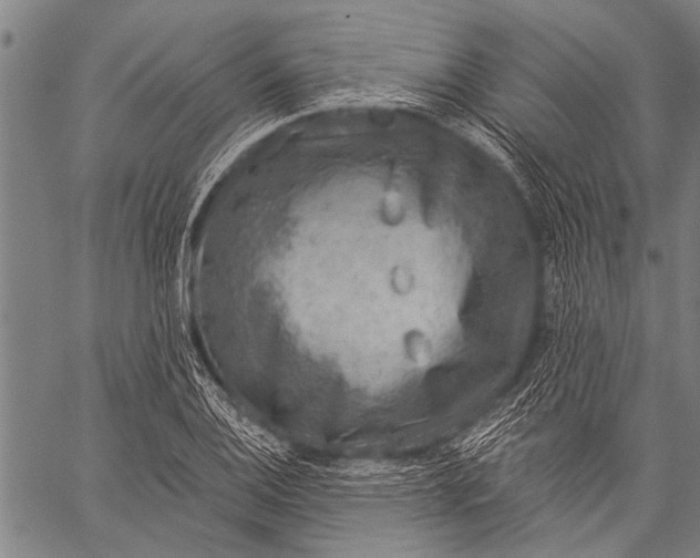 X0000057091124200509301544