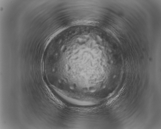 X0000057091125200509301544