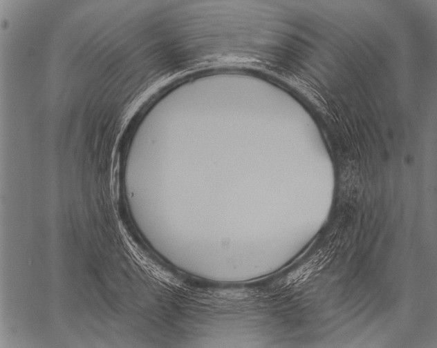 X0000057091126200509301544