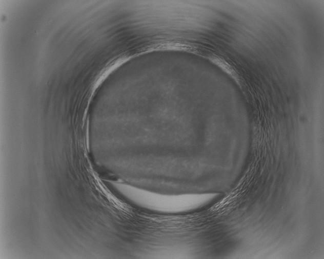 X0000057091127200509301544