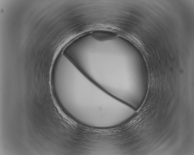 X0000057091128200509301544