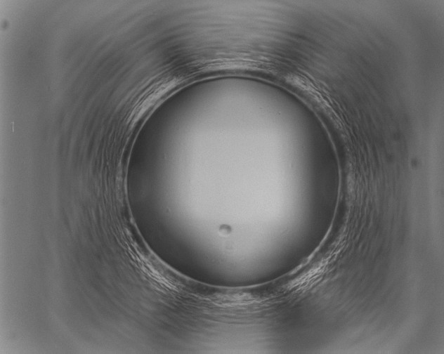 X0000057091129200509301544