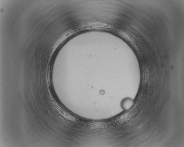 X0000057091130200509301544