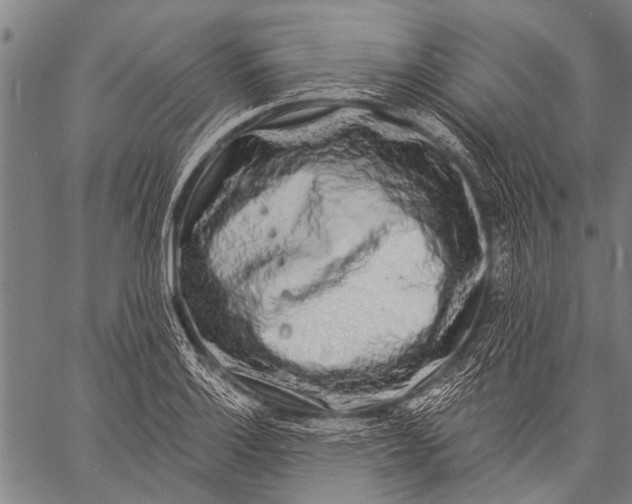 X0000057091132200509301544