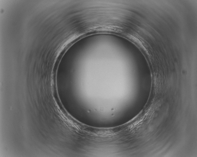 X0000057091133200509301544