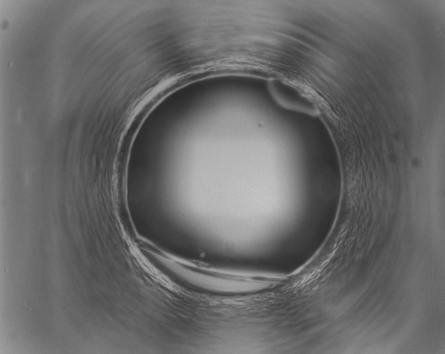 X0000057091134200509301544