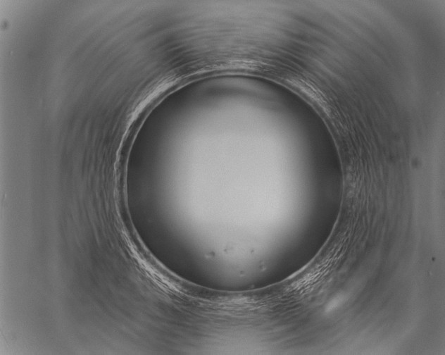 X0000057091135200509301544