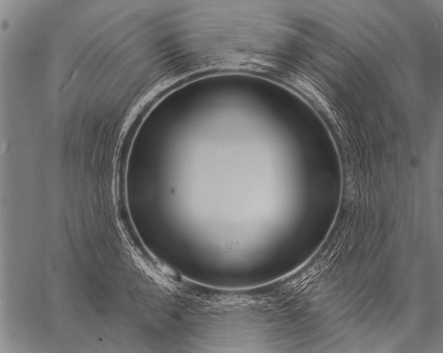 X0000057091136200509301544