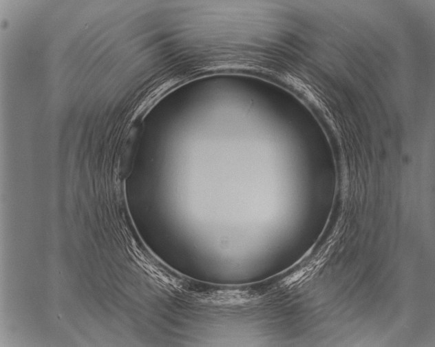 X0000057091137200509301544