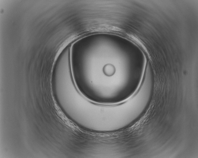 X0000057091138200509301544