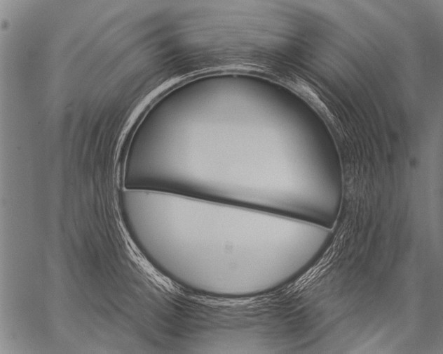 X0000057091140200509301544