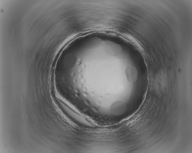 X0000057091142200509301544