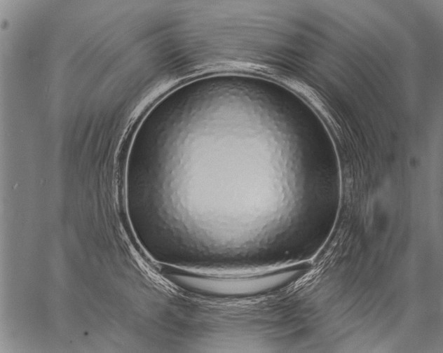 X0000057091143200509301544