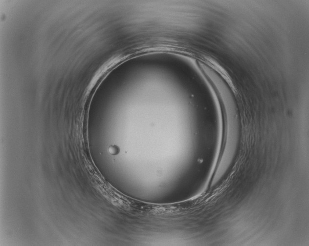 X0000057091146200509301544