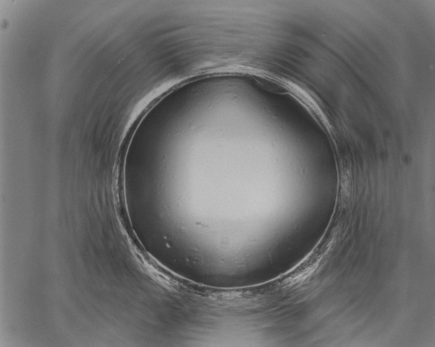 X0000057091149200509301544