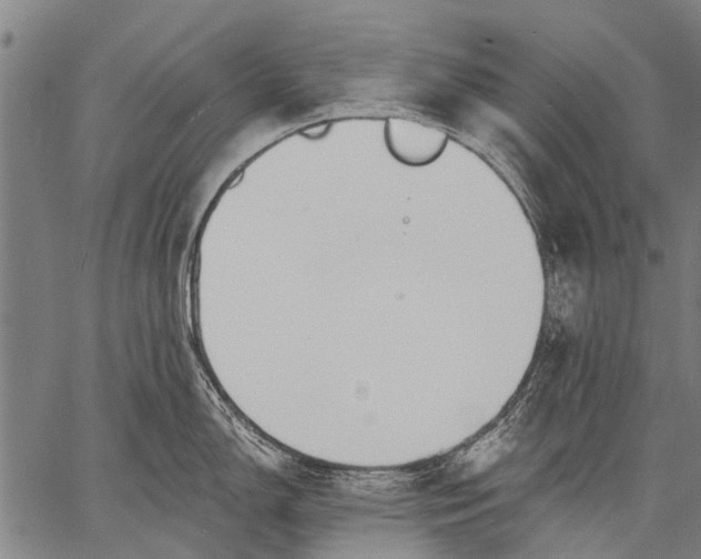 X0000057091150200509301544