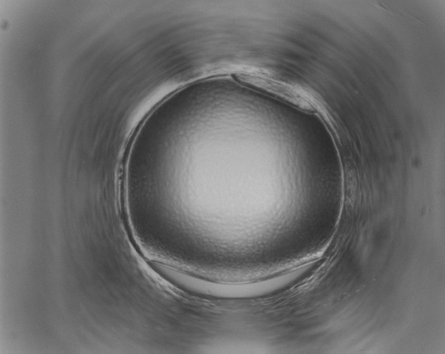 X0000057091151200509301544