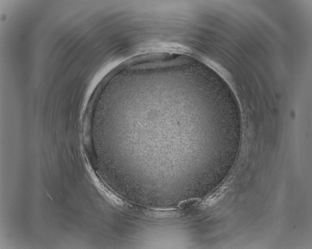 X0000057091152200509301544