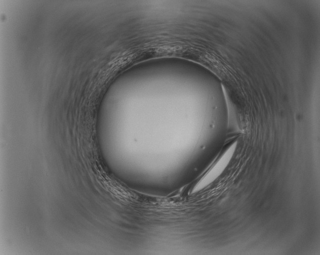 X0000057091153200509301543