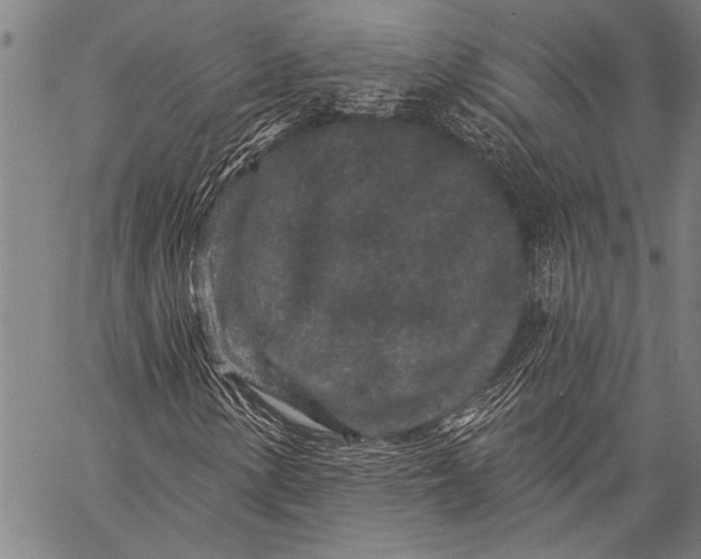 X0000057091154200509301543