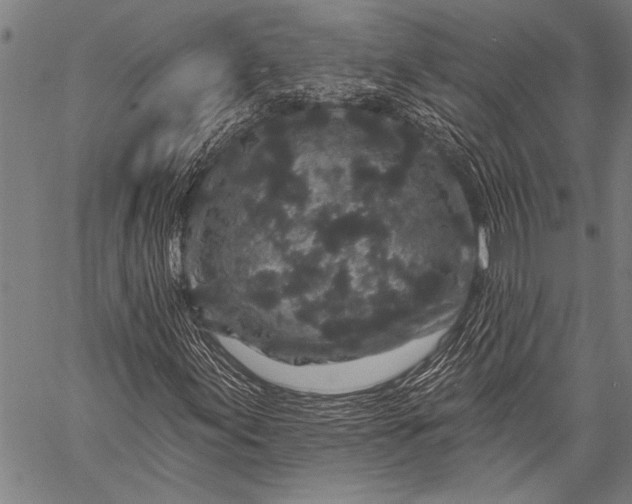 X0000057091155200509301543