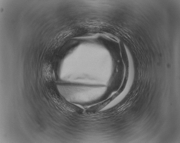 X0000057091156200509301543