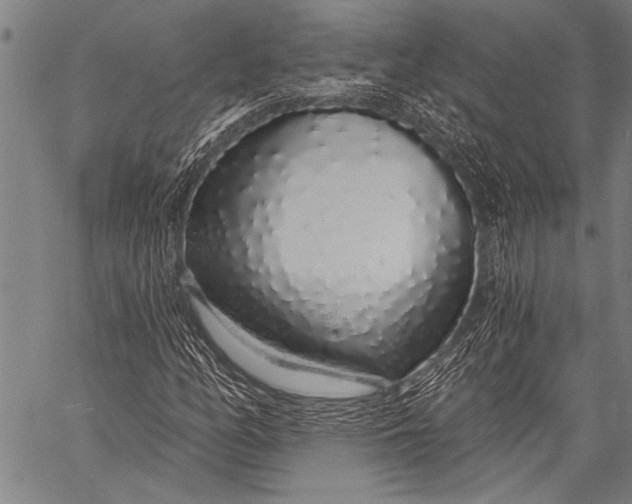 X0000057091158200509301543