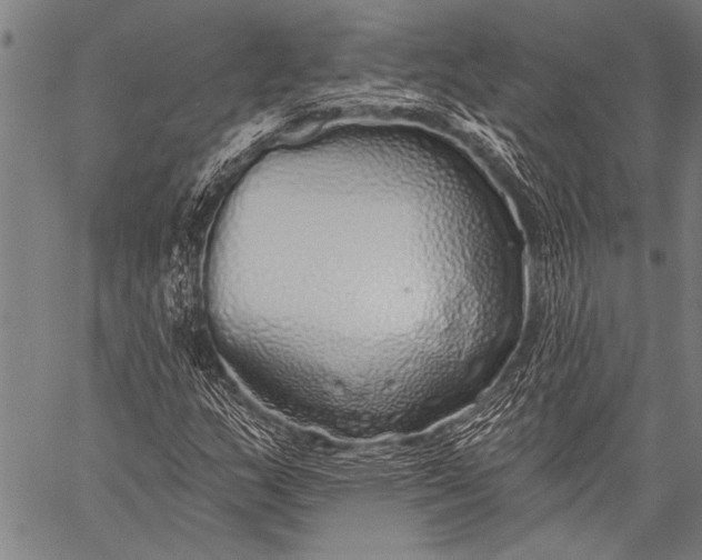 X0000057091159200509301543