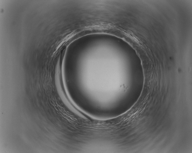 X0000057091160200509301543