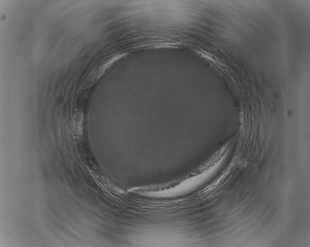 X0000057091161200509301543