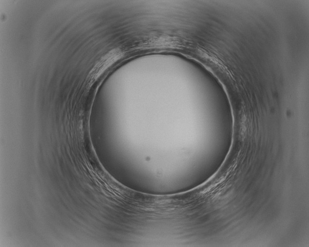 X0000057091162200509301543