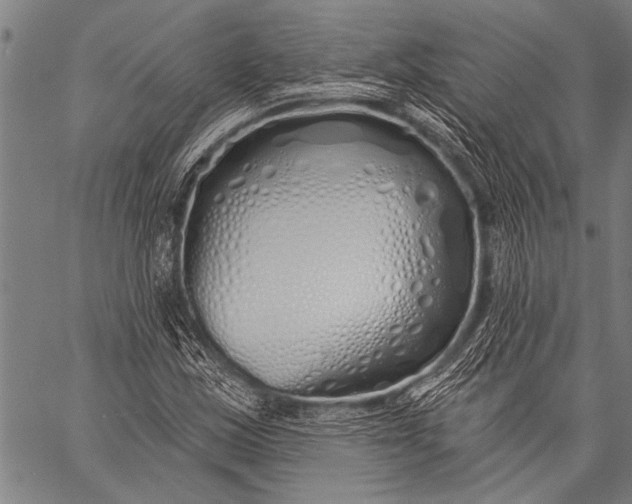 X0000057091163200509301543