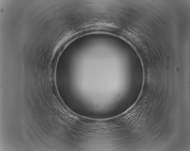 X0000057091164200509301543