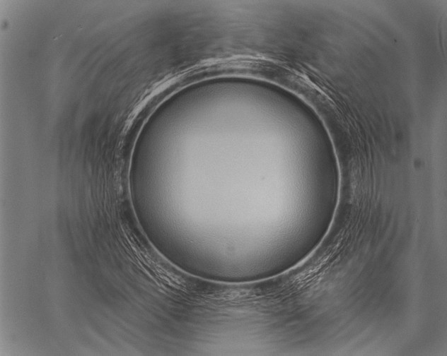 X0000057091166200509301543