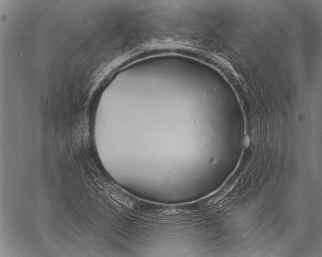 X0000057091167200509301543