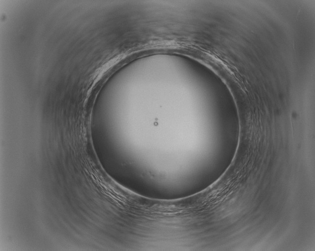 X0000057091168200509301543