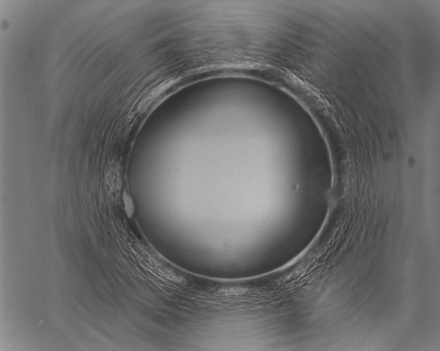 X0000057091169200509301543